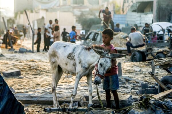 14 लोग गाजा में कुपोषण से मर जाते हैं, स्वास्थ्य मंत्रालय कहते हैं