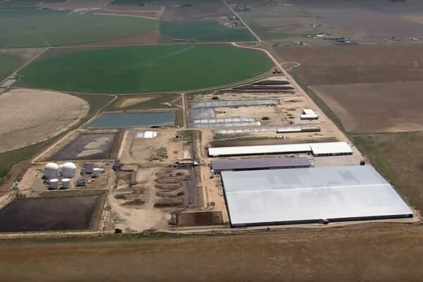 कोलोराडो डेयरी फार्म में दुर्घटना में 6 मृत: फायर चीफ